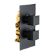 Bedgebury Square Single Outlet - Two Controls - Concealed Thermostatic Valve - Matt Black