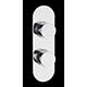 Hudson Reed Indus Twin Thermostatic Shower with Diverter