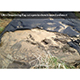 Hy-Tex Ultra Dewatering Bag 1.80 x 1.80m